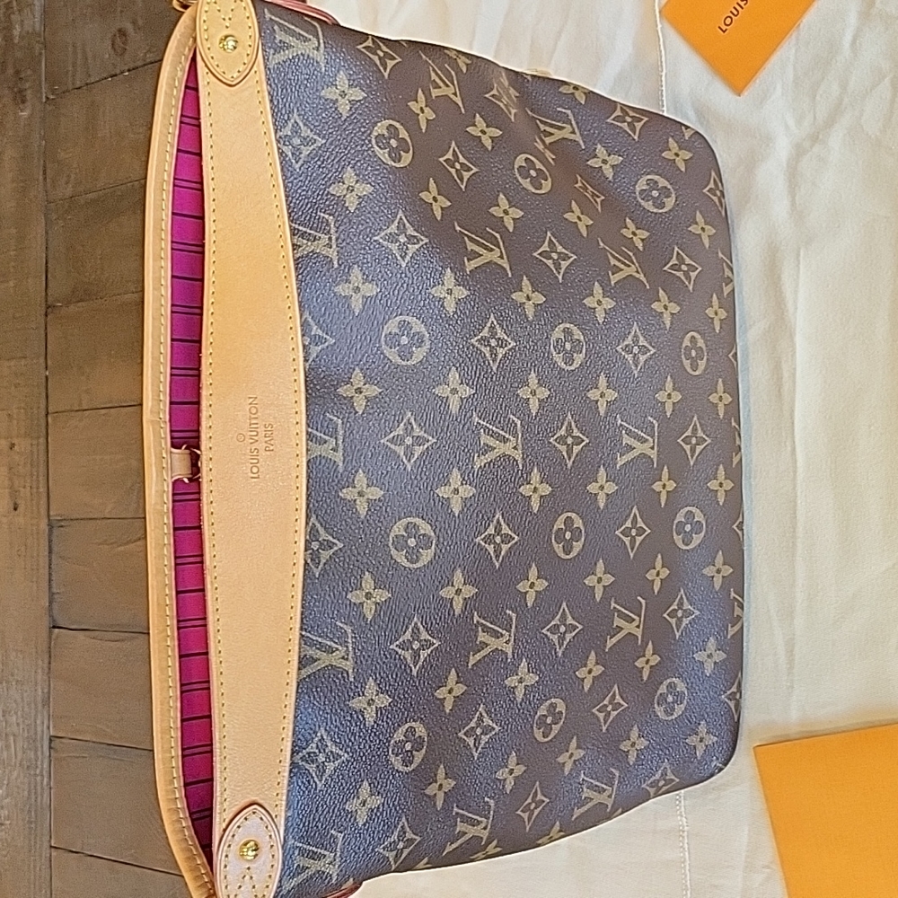 Louis Vuitton Hobo Bag - Brown and Tan Monogram